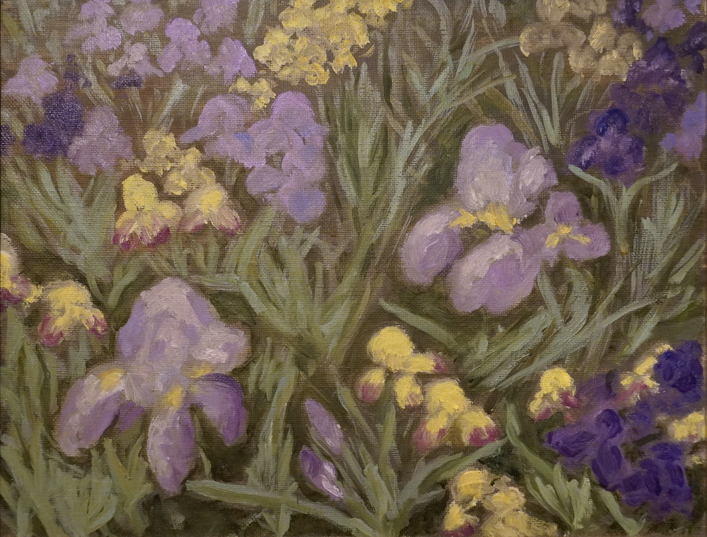 dsc02343 noframe copy