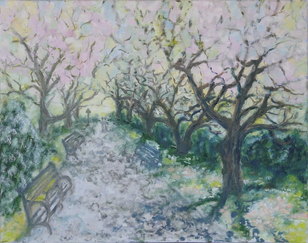 dsc02378 nnoframe copy