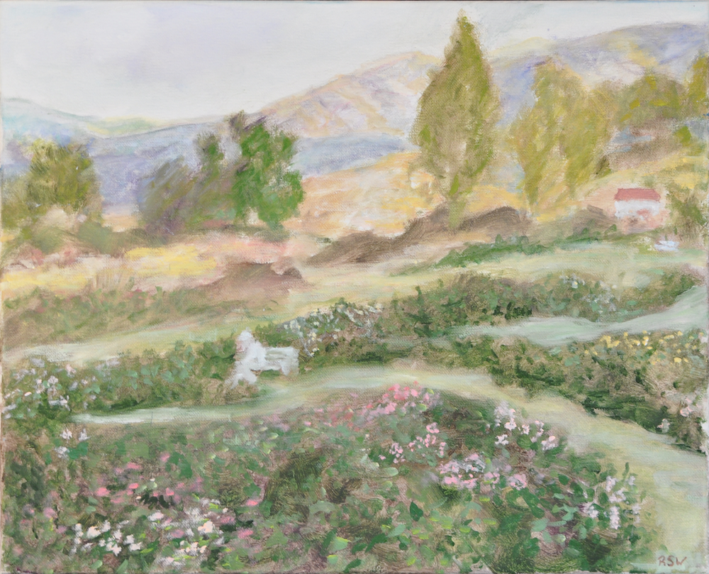 dsc 0984 noframe copy