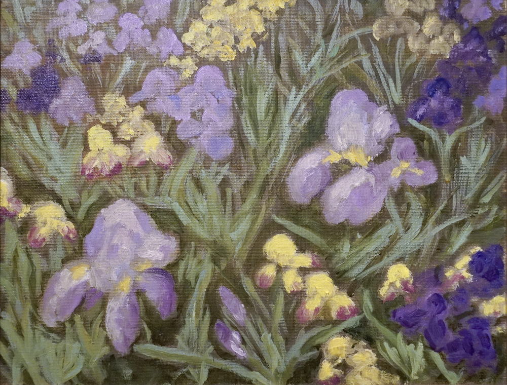 dsc02343 noframe copy