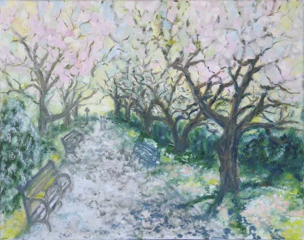 dsc02378 nnoframe copy