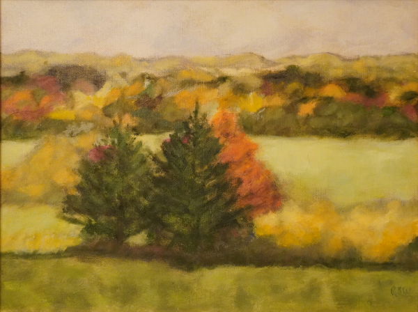 dsc02370 noframe copy