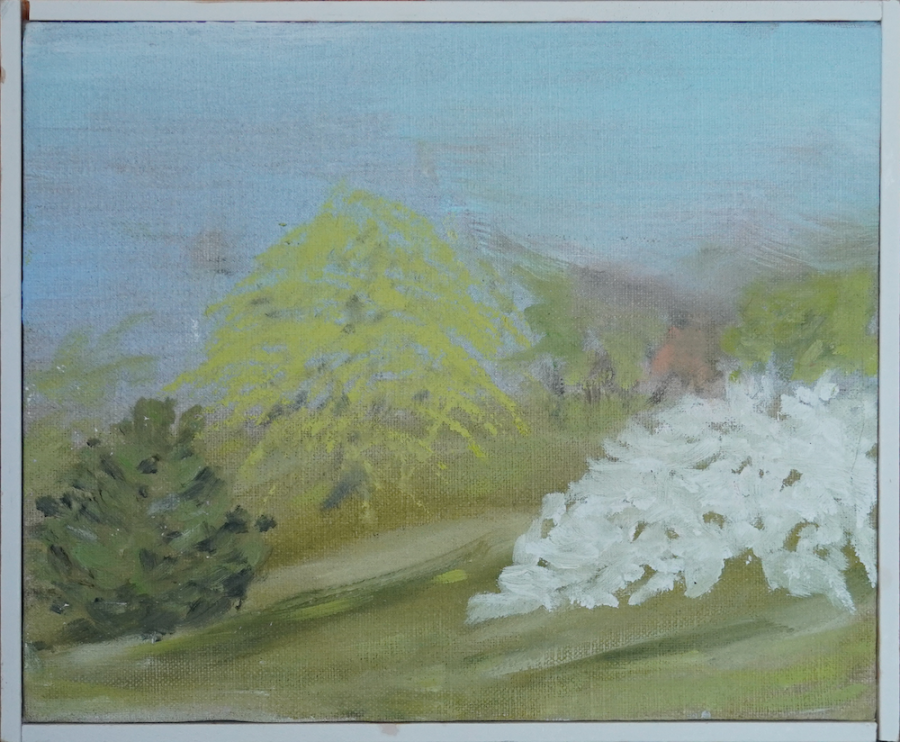 dsc02483 withframe copy