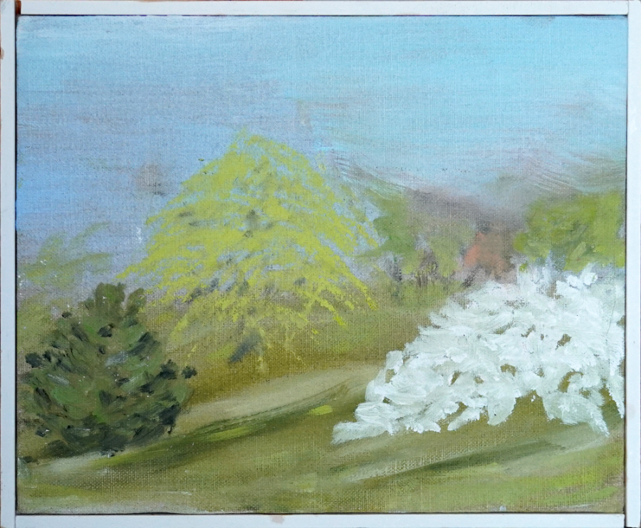 dsc02483 withframe copy