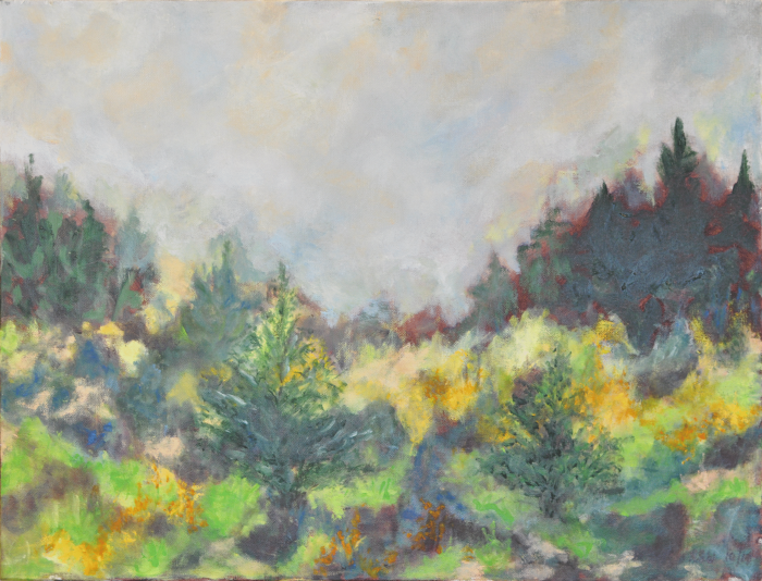 fall cedarridgepreserve,hopewell